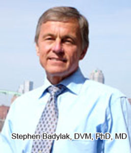 Stephen Badylak, DVM, PhD, MD